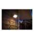 Philips Hue WCA Discover Outdoor Floodlight 2000-6500 Hue White Colour Ambiance