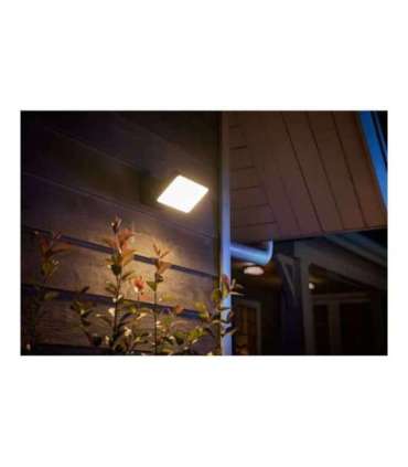Philips Hue WCA Discover Outdoor Floodlight 2000-6500 Hue White Colour Ambiance