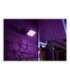 Philips Hue WCA Discover Outdoor Floodlight 2000-6500 Hue White Colour Ambiance