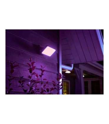 Philips Hue WCA Discover Outdoor Floodlight 2000-6500 Hue White Colour Ambiance