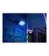 Philips Hue WCA Discover Outdoor Floodlight 2000-6500 Hue White Colour Ambiance