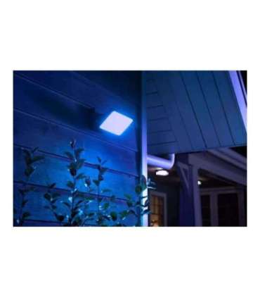 Philips Hue WCA Discover Outdoor Floodlight 2000-6500 Hue White Colour Ambiance