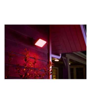 Philips Hue WCA Discover Outdoor Floodlight 2000-6500 Hue White Colour Ambiance