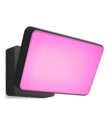 Philips Hue WCA Discover Outdoor Floodlight 2000-6500 Hue White Colour Ambiance