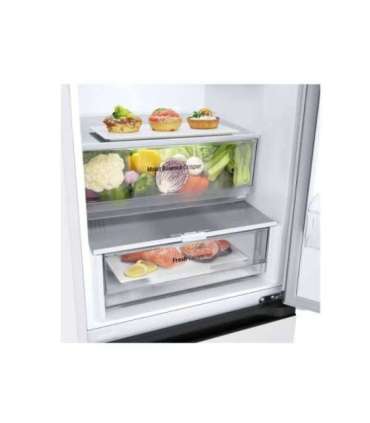 LG Refrigerator GBV3100ESW Energy efficiency class E Free standing Combi Height 186 cm No Frost system |