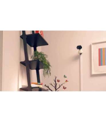 Motorola Wi-Fi Video Baby Camera PIP1000