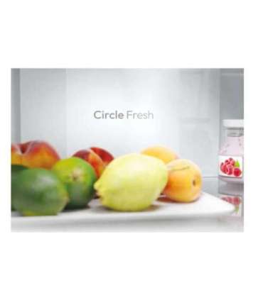 Candy Refrigerator ECN2CQTEW186 Energy efficiency class E Free standing Combi Height 185 cm No Frost system