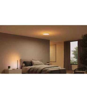 Philips Hue Datura Ceiling Light Small 38.4cm 48 W