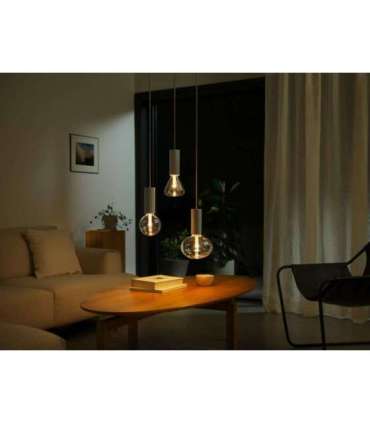 Philips Hue WCA Lightguide G125 E27 6.8 W White and colour light