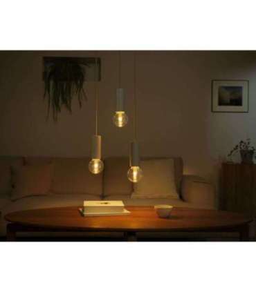 Philips Hue WCA Lightguide G95 E27 6.8 W White and colour light