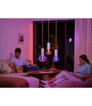Philips Hue WCA Lightguide G95 E27 6.8 W White and colour light