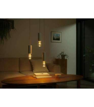 Philips Hue WCA Lightguide ST72 E27 6.8 W White and colour light