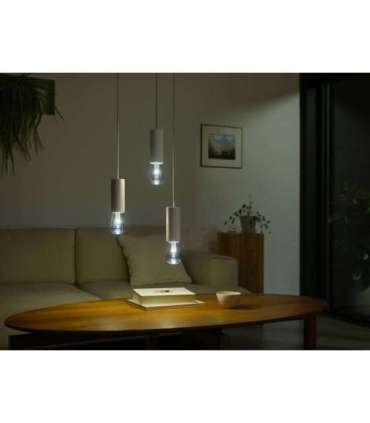 Philips Hue WCA Lightguide ST72 E27 6.8 W White and colour light