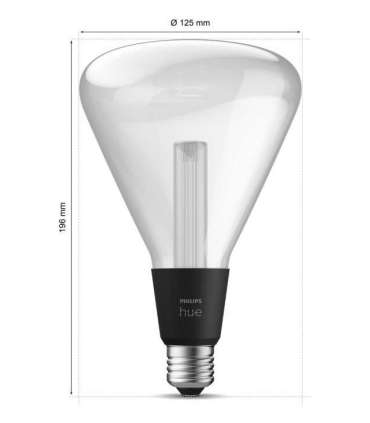 Philips Hue WCA Lightguide Triangle E27 6.8 W White and colour light