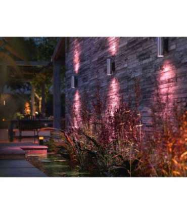 Philips Hue WCA Appear Outdoor Wall Lantern, Inox 8 W 2000-6500 Hue White Colour Ambiance
