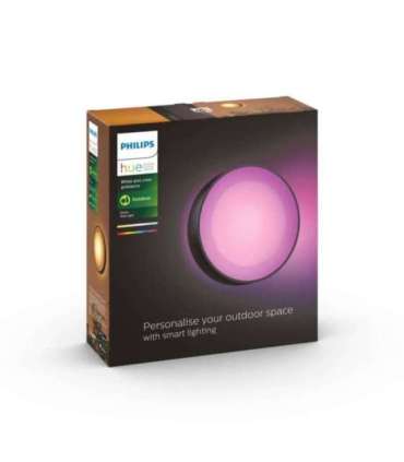 Philips Hue WCA Daylo Outdoor Wall Lantern, Black 15 W 2000-6500 Hue White Colour Ambiance