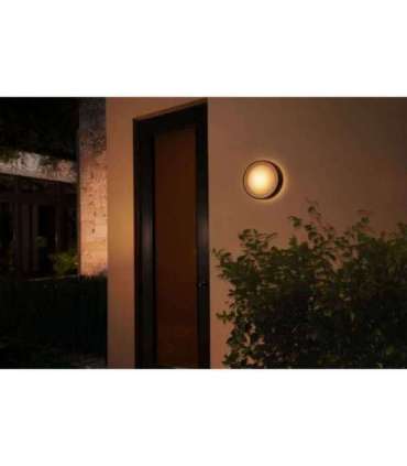 Philips Hue WCA Daylo Outdoor Wall Lantern, Black 15 W 2000-6500 Hue White Colour Ambiance