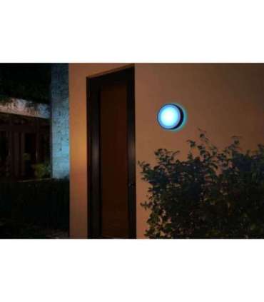 Philips Hue WCA Daylo Outdoor Wall Lantern, Black 15 W 2000-6500 Hue White Colour Ambiance