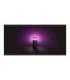 Philips Hue WCA Calla Outdoor Bollard, Black 8 W 2000-6500 Hue White Colour Ambiance
