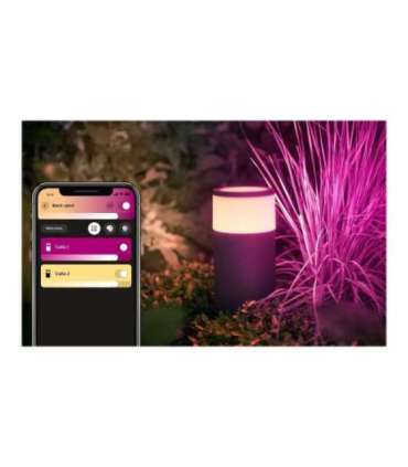 Philips Hue WCA Calla Outdoor Bollard, Black 8 W 2000-6500 Hue White Colour Ambiance