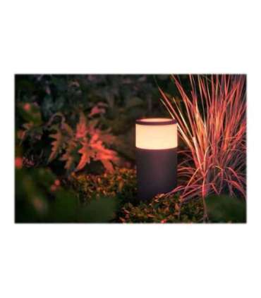 Philips Hue WCA Calla Outdoor Bollard, Black 8 W 2000-6500 Hue White Colour Ambiance