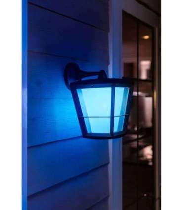 Philips Hue WCA Econic Outdoor Wall Lantern 15 W 2000-6500 Hue White Colour Ambiance