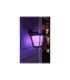 Philips Hue WCA Econic Outdoor Wall Lantern 15 W 2000-6500 Hue White Colour Ambiance