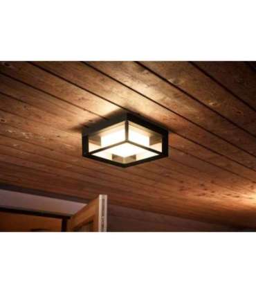 Philips Hue WCA Econic Outdoor Square Wall Lantern 15 W 2000-6500 Hue White Colour Ambiance