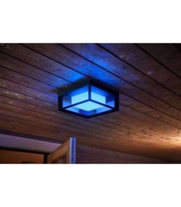 Philips Hue WCA Econic Outdoor Square Wall Lantern 15 W 2000-6500 Hue White Colour Ambiance