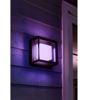 Philips Hue WCA Econic Outdoor Square Wall Lantern 15 W 2000-6500 Hue White Colour Ambiance