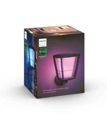 Philips Hue WCA Econic Outdoor Wall Lantern Up 15 W 2000-6500 Hue White Colour Ambiance