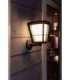 Philips Hue WCA Econic Outdoor Wall Lantern Up 15 W 2000-6500 Hue White Colour Ambiance