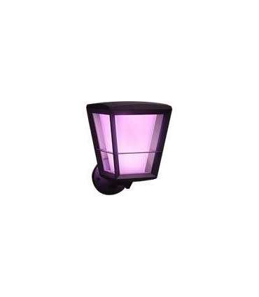 Philips Hue WCA Econic Outdoor Wall Lantern Up 15 W 2000-6500 Hue White Colour Ambiance