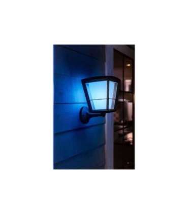 Philips Hue WCA Econic Outdoor Wall Lantern Up 15 W 2000-6500 Hue White Colour Ambiance