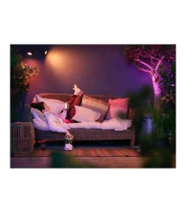 Philips Hue WCA Lily Outdoor Spot Light Extension 24V 8 W 2000-6500 Hue White Colour Ambiance