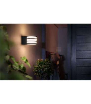 Philips Hue Lucca Wall Lantern E27 9 W Warm white