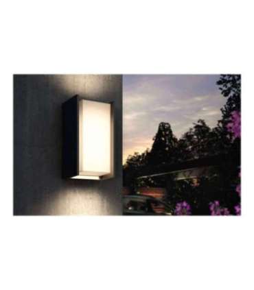 Philips Hue Turaco Outdoor Wall Lantern E27 9 W Warm white