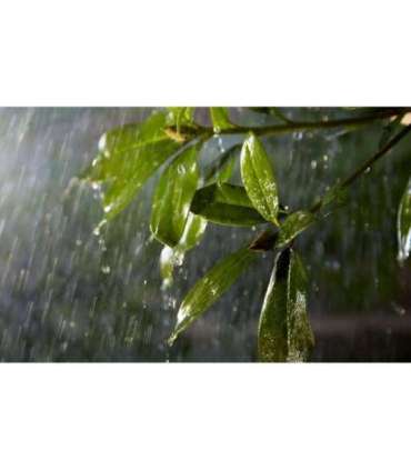 Philips Hue Outdoor 24V Cable Extension, 5m