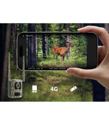 Reolink 4K 4G Cellular Trail Camera with Live Streaming Talon Series S130 Trail 8 MP 4mm/F1.6 IP67 H.265 |