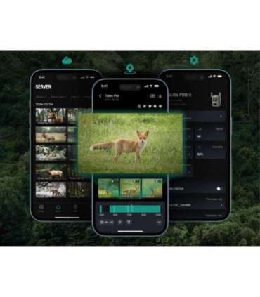 Reolink 4K 4G Cellular Trail Camera with Live Streaming Talon Series S130 Trail 8 MP 4mm/F1.6 IP67 H.265 |