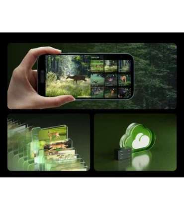 Reolink 4K 4G Cellular Trail Camera with Live Streaming Talon Series S130 Trail 8 MP 4mm/F1.6 IP67 H.265 |