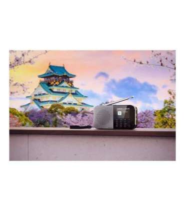 Sharp OSAKA Pocket/Handheld Portable Digital Radio DR-P520(GY) Bluetooth