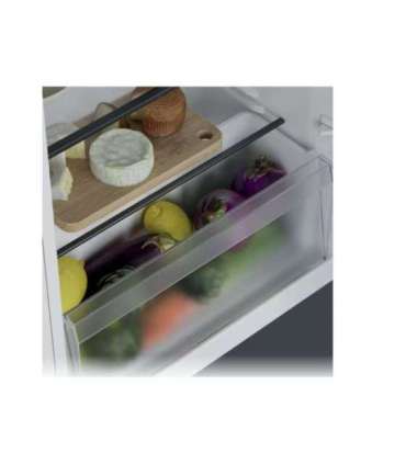 Candy Refrigerator CNOQ2S58EW Energy efficiency class E Free standing Larder Height 85 cm Fridge net