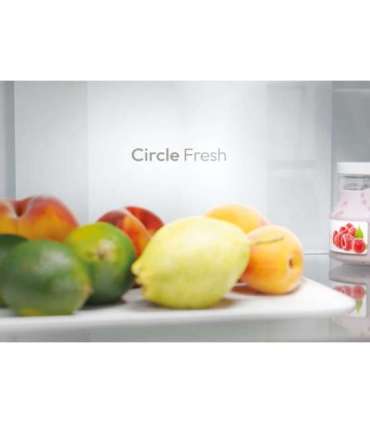 Candy ECN2CQTEX186 Refrigerator, E, Freestanding, Combi, Height 185cm, Fridge net 235 L, Freezer net 120 L, Inox Candy