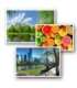 ColorWay Photo Paper, 500 sheets 200 g/m² 10x15 High Glossy
