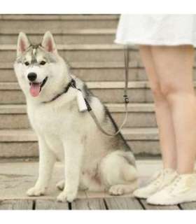 PETKIT Dog Waste Dispenser Set Bags: 30x22 cm, Dispenser: 14/8.2 cm x 3.8 cm