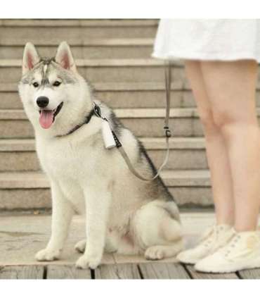 PETKIT Dog Waste Dispenser Set Bags: 30x22 cm, Dispenser: 14/8.2 cm x 3.8 cm