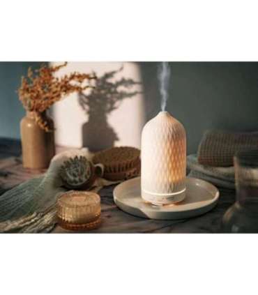 Camry Ultrasonic aroma diffuser 3in1 CR 7970 Ultrasonic Suitable for rooms up to 25 m² White