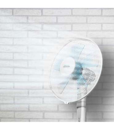 Cecotec EnergySilence 530 Power Connected Stand Fan White Diameter 40 cm Number of speeds 3 Oscillation 50 W