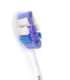 Philips Replacement brush heads HX6056/87 Sonicare Sensitive Heads For adults Number of brush heads included 6